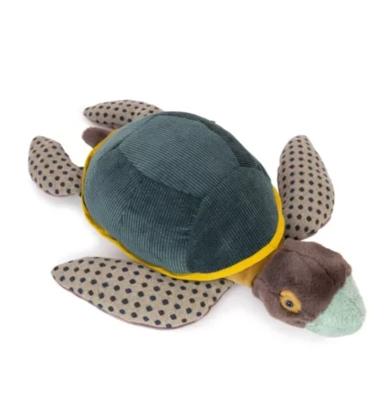TORTUGA GRANDE ALREDEDOR DEL MUNDO