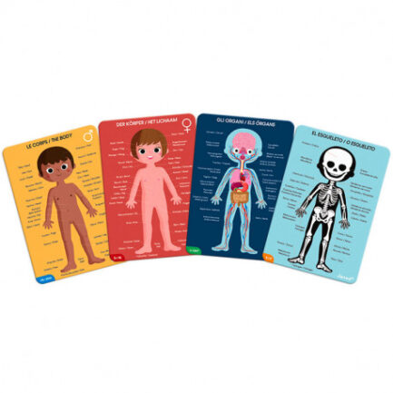 PUZZLE EDUCATIVO CUERPO HUMANO 100CMS - Imagen 3